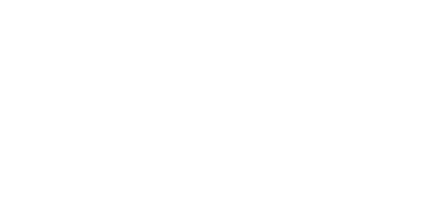 Fighting 4 Freedom
